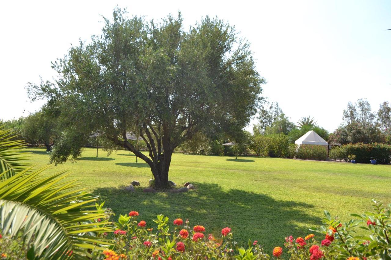 Le Village Des Vacance Les Tentes De Desert Zaraba *