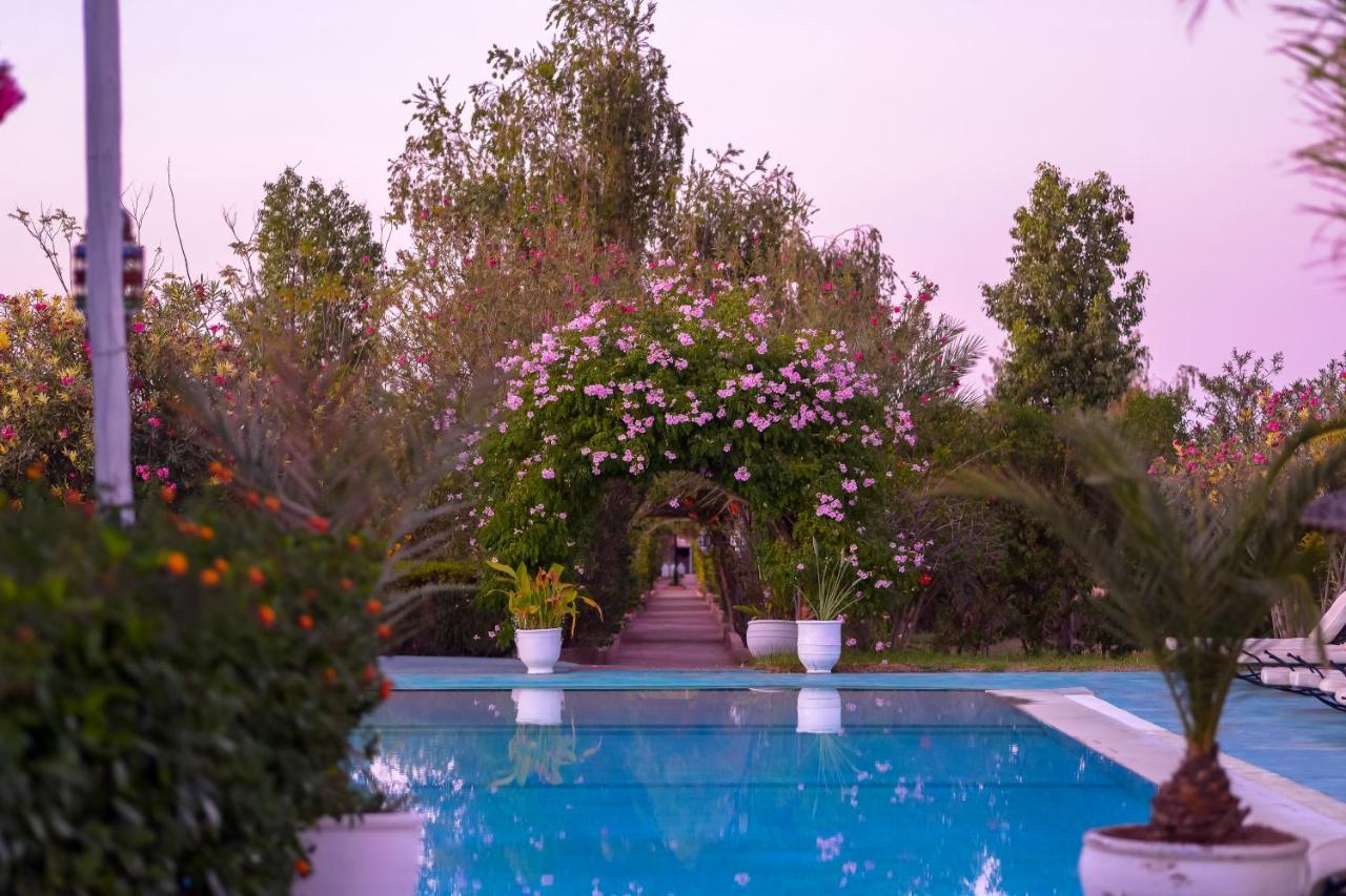 Le Village Des Vacance Les Tentes De Desert Zaraba Villa *