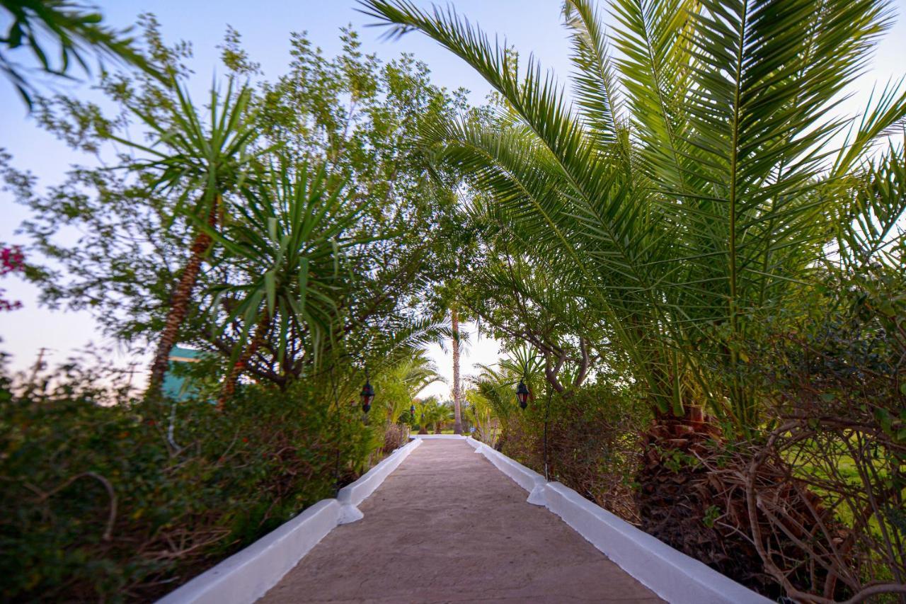 Le Village Des Vacance Les Tentes De Desert Zaraba Villa